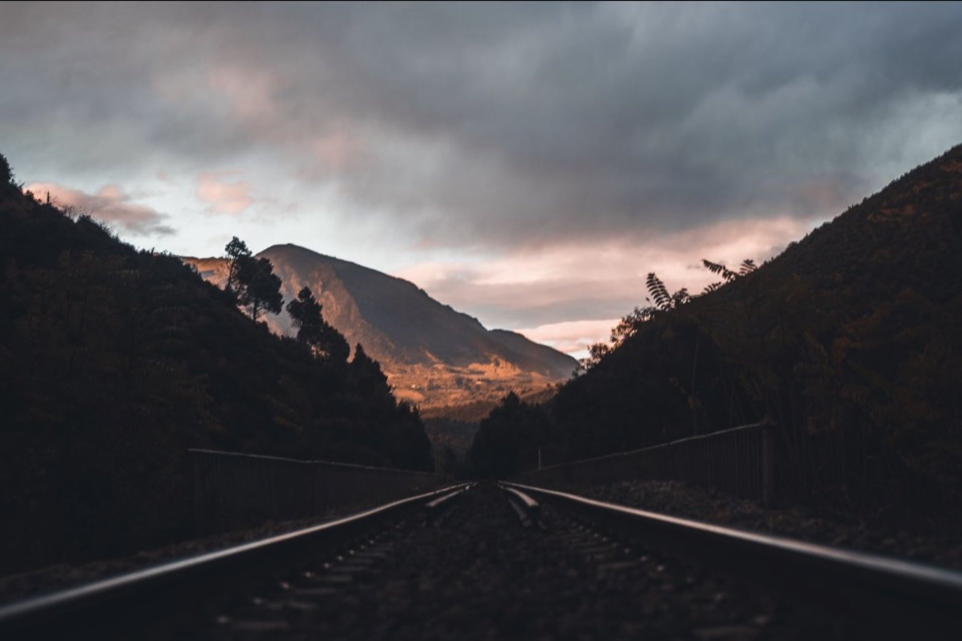 LS Focus On The Week Ahead